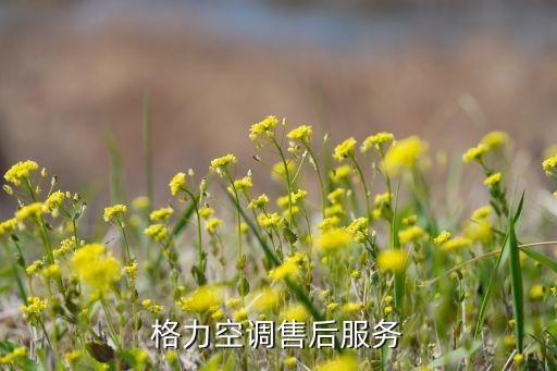 格力空调售后服务