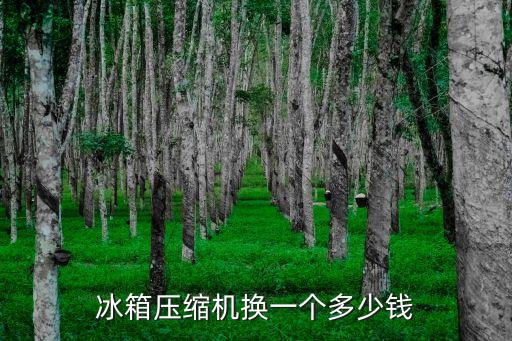 冰箱压缩机换一个多少钱