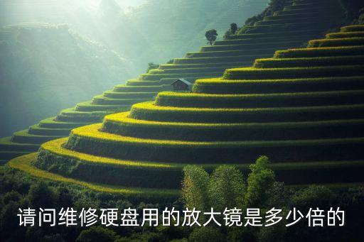 请问维修硬盘用的放大镜是多少倍的