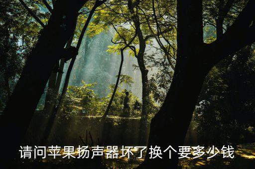 请问苹果扬声器坏了换个要多少钱