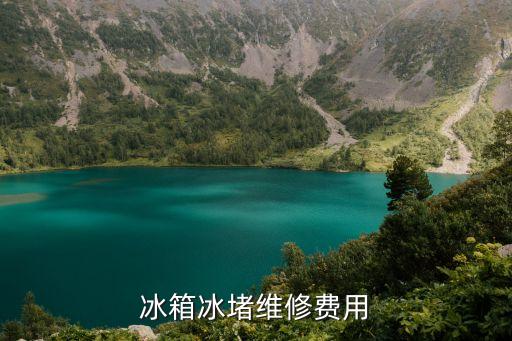 冰箱冰堵维修费用
