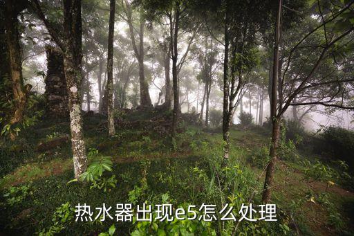热水器出现e5如何解决，热水器出现e5怎么处理
