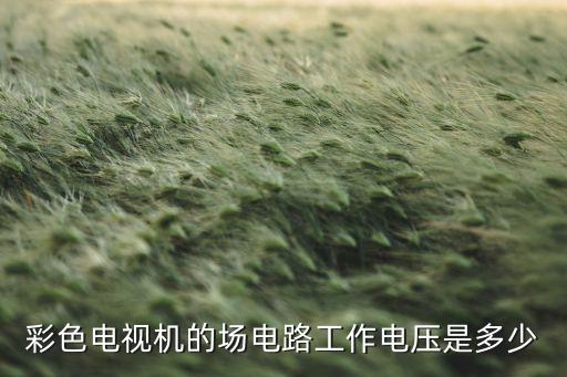 彩色电视机的场电路工作电压是多少