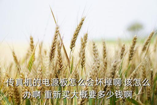 传真机的电源板怎么会坏掉啊 该怎么办啊 重新买大概要多少钱啊