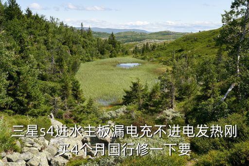 三星s4进水主板漏电充不进电发热刚买4个月国行修一下要