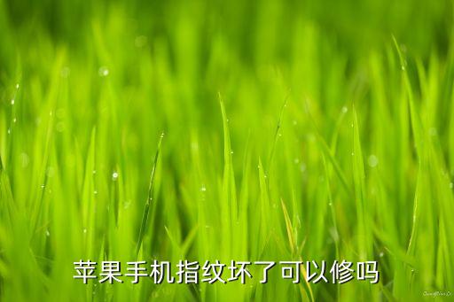 iphone指纹如何检修，苹果手机的指纹解锁没反应该如何处理