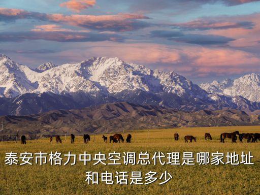 格力山东办事处电话号码是多少，泰安市格力中央空调总代理是哪家地址和电话是多少