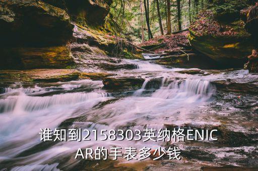 谁知到2158303英纳格ENICAR的手表多少钱