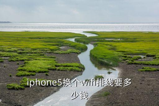 iphone5换个wifi排线要多少钱