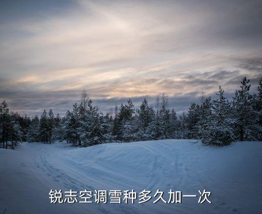 锐志空调雪种多久加一次