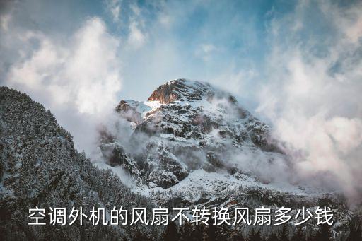 空调外机的风扇不转换风扇多少钱