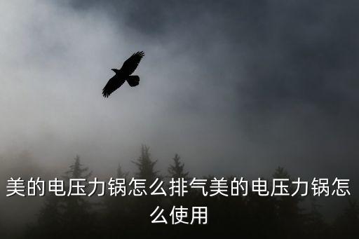 美的电压力锅如何排气，美的电压力锅做好后怎么排气