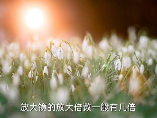 维修用放大镜多少倍，请问维修硬盘用的放大镜是多少倍的