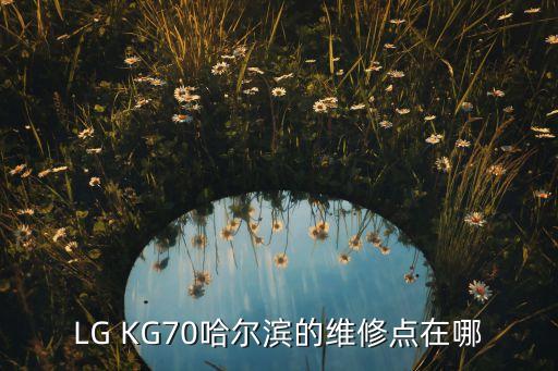 LG KG70哈尔滨的维修点在哪
