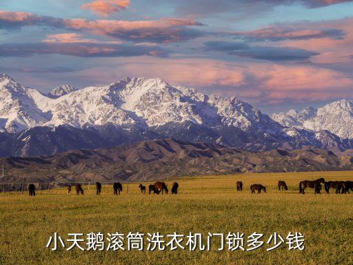 小天鹅滚筒洗衣机门锁多少钱
