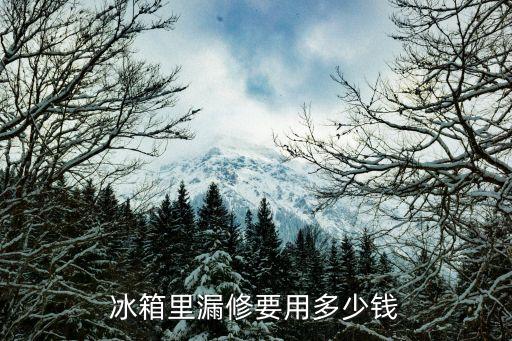冰箱里漏修要用多少钱