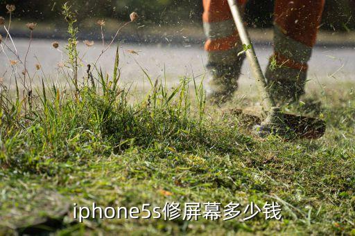 iphone5s修屏幕多少钱