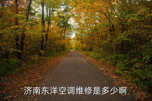 济南东洋空调维修是多少啊