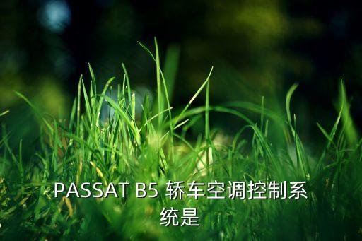 PASSAT B5 轿车空调控制系统是