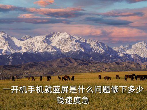 一开机手机就蓝屏是什么问题修下多少钱速度急