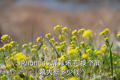 iPhone4s 屏幕坏了 换个屏幕大概多少钱