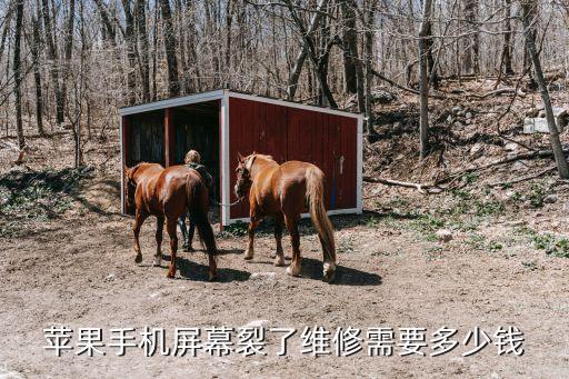 苹果手机屏幕裂了维修需要多少钱
