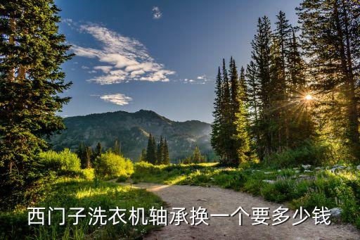 西门子洗衣机换滚筒轴承多少钱，西门子洗衣机轴承换一个要多少钱