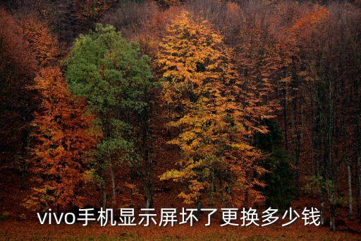 vivo手机显示屏坏了更换多少钱