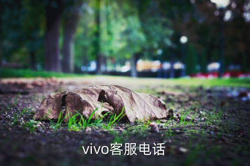 vivo客服电话