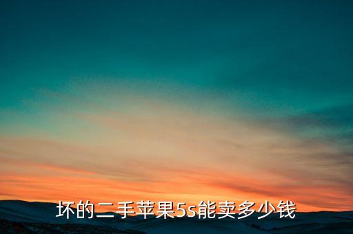 坏的苹果5s能卖多少钱，一部苹果5S报废机能卖多少钱