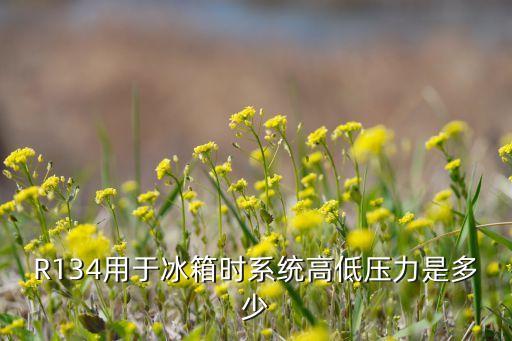 R134用于冰箱时系统高低压力是多少