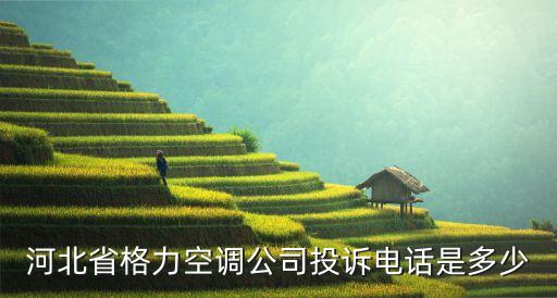 石家庄格力公司售后维修电话是多少，太和格力空调售后服务电话