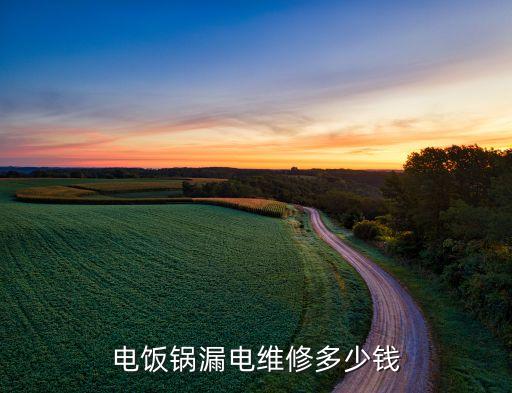 电饭煲e3维修要多少钱，电饭锅漏电维修多少钱