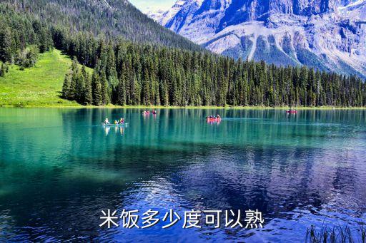 米饭多少度可以熟