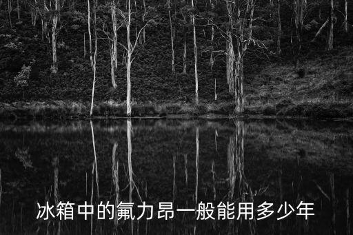 冰箱加氟可以管多久，3门展开示冰柜加1次氟用多久