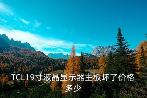 TCL19寸液晶显示器主板坏了价格多少