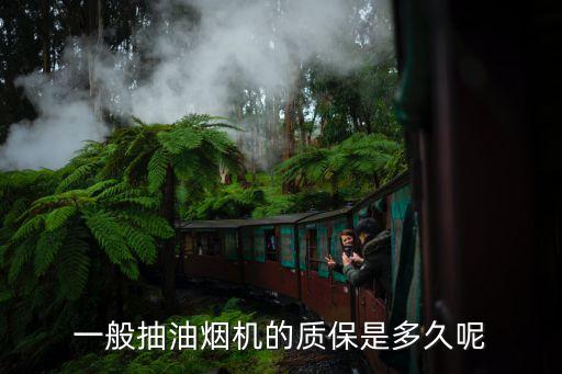 一般抽油烟机的质保是多久呢