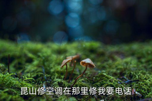 昆山修空调在那里修我要电话