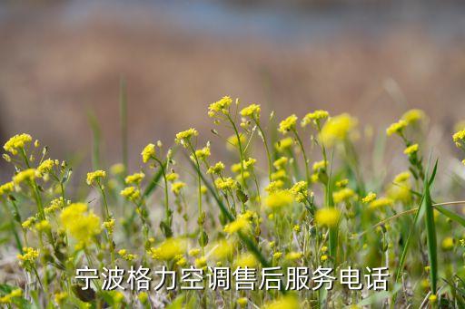 宁波格力空调售后服务电话