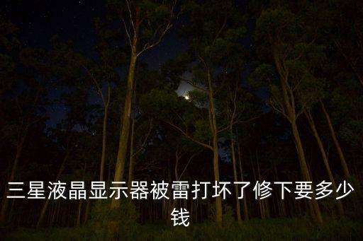 修一下三星要多少钱，三星液晶显示器被雷打坏了修下要多少钱