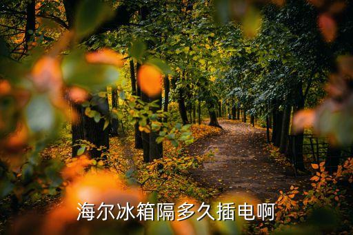 海尔冰箱隔多久插电啊