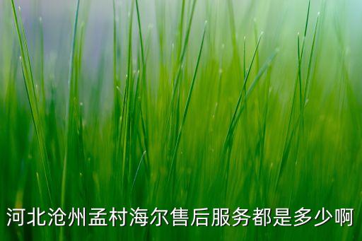 沧州热水器维修电话是多少，沧州哈佛热水器售后维修电话