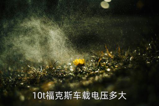 10t福克斯车载电压多大