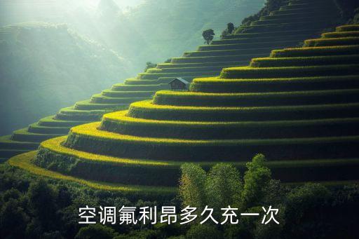 空调氟利昂多久充一次