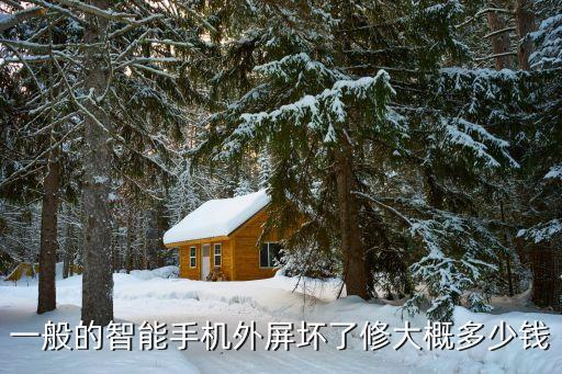 一般的智能手机外屏坏了修大概多少钱