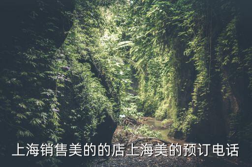 上海销售美的的店上海美的预订电话