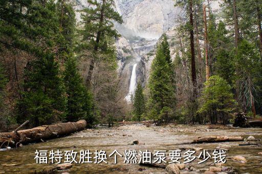 致胜的油泵多少钱，福特致胜23l时尚款油泵多少钱