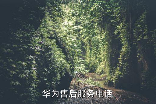 安阳华为售后客服电话是多少，华为手机售后服务电话是多少