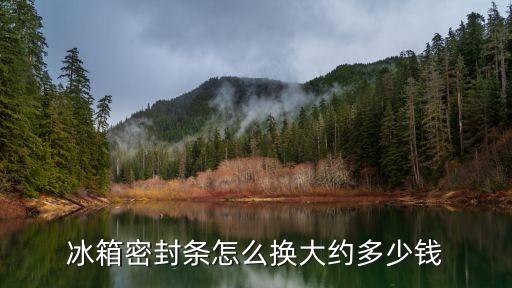 冰箱密封条全换多少钱，冰箱门密封条价格