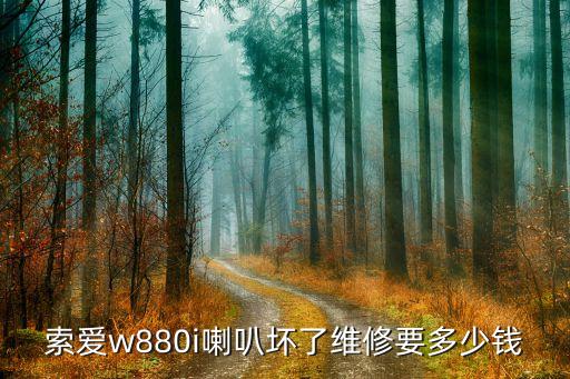 索爱w880i喇叭坏了维修要多少钱